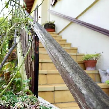 Maison Vue Sur Le Mont Fourcade Avec Jardin * Saint-Paul-de-Jarrat